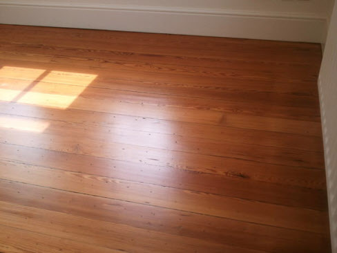 pitch pine