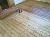 Filename=Haverpineduring.jpg
Filesize=264KB
Dimensions=1600x1200
Date added=Jun 08, 2010 Haverpineduring.jpg