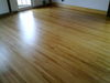 Filename=Maplelightoak.jpg
Filesize=153KB
Dimensions=1600x1200
Date added=May 16, 2010 Maplelightoak.jpg