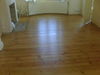 PICT0008.JPG