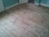 Filename=pine_lightoak_a.jpg
Filesize=140KB
Dimensions=1024x768
Date added=Aug 20, 2011 pine_lightoak_a.jpg