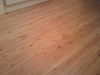 Filename=pine_tg.jpg
Filesize=135KB
Dimensions=1024x768
Date added=Aug 20, 2011 pine_tg.jpg